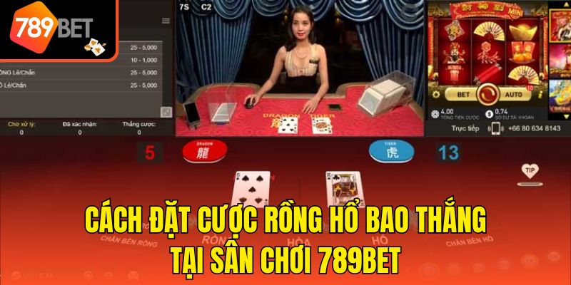 Cách Đặt Cược Rồng Hổ Bao Thắng Tại Sân Chơi 789bet 1 Cách Đặt Cược Rồng Hổ Bao Thắng Tại Sân Chơi 789bet