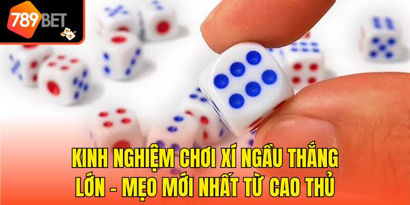 Kinh Nghiệm Chơi Xí Ngầu Thắng Lớn - Mẹo Mới Nhất Từ Cao Thủ
