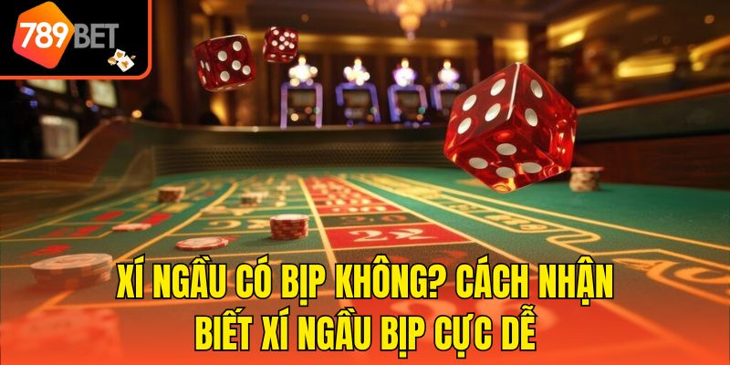 Xí Ngầu Có Bịp Không? Cách Nhận Biết Xí Ngầu Bịp Cực Dễ 1 Xí Ngầu Có Bịp Không? Cách Nhận Biết Xí Ngầu Bịp Cực Dễ